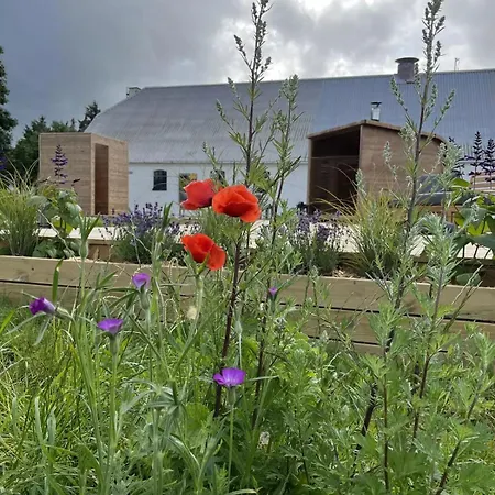 Wellnessglamping For 2 Personer Solsikkemarken *