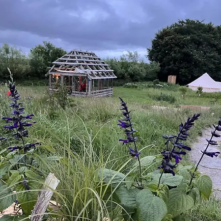 Wellnessglamping For 2 Personer Solsikkemarken * Tylstrup